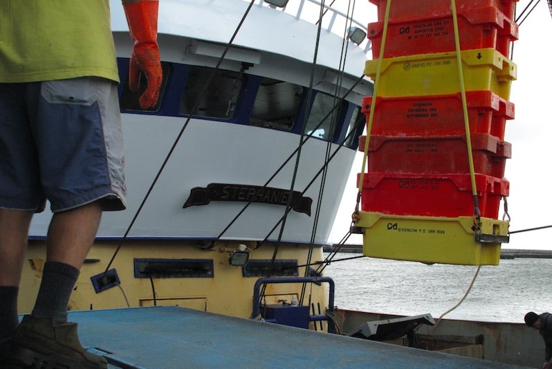 Read more about the article Europe’s fisheries and policies success is no coincidence