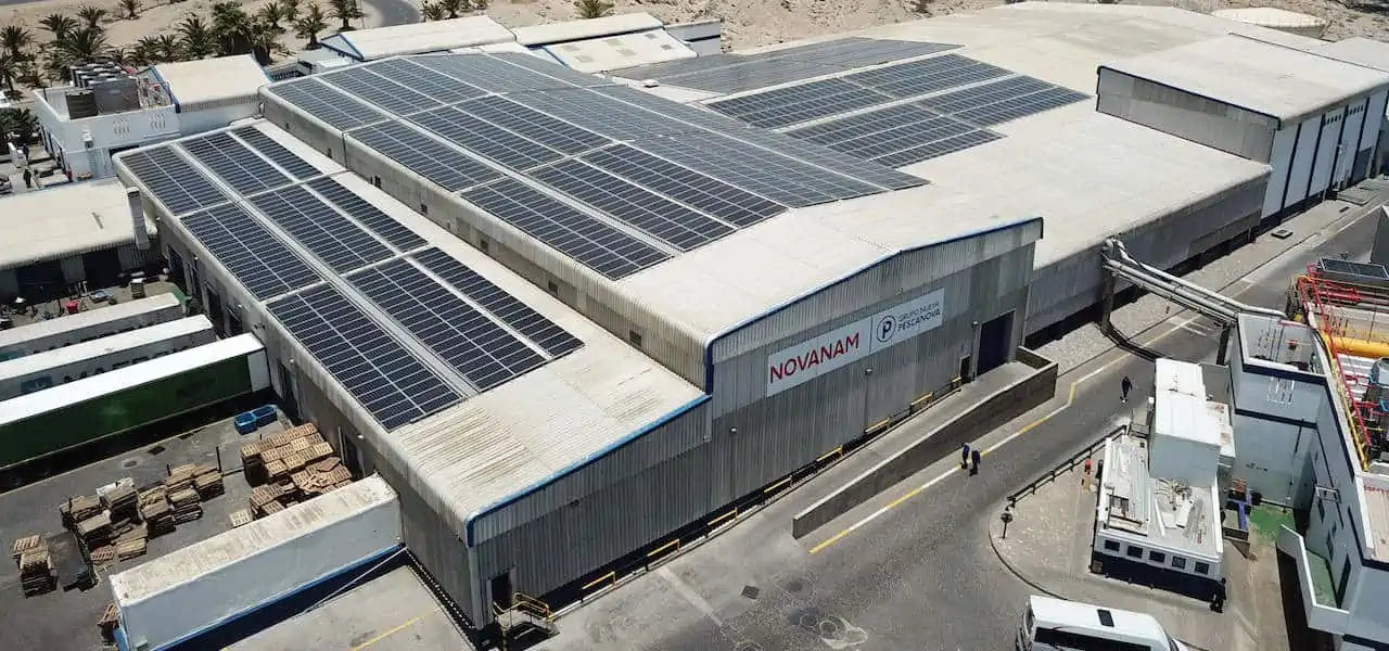 Read more about the article Nueva Pescanova factory goes solar