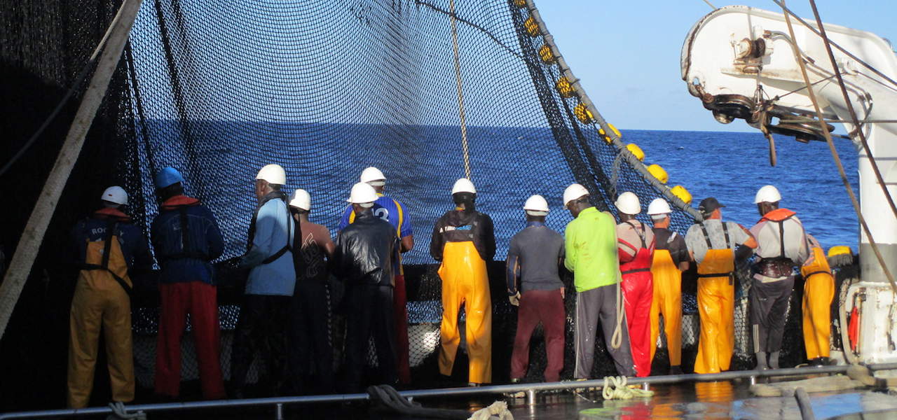 Read more about the article Highlighting human rights shortfalls in tuna supply chain