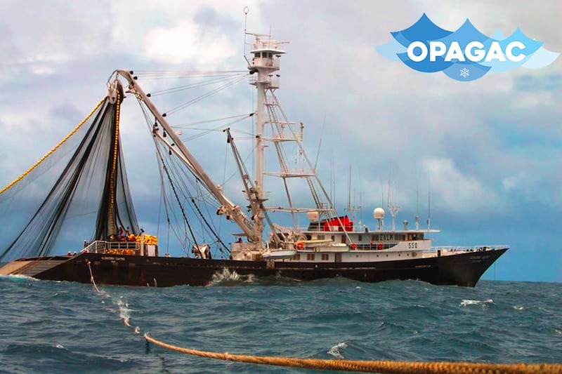Read more about the article Tuna sustainability and IUU