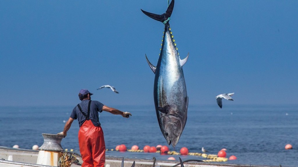 Read more about the article Strait of Gibraltar fishermen demand bluefin quota