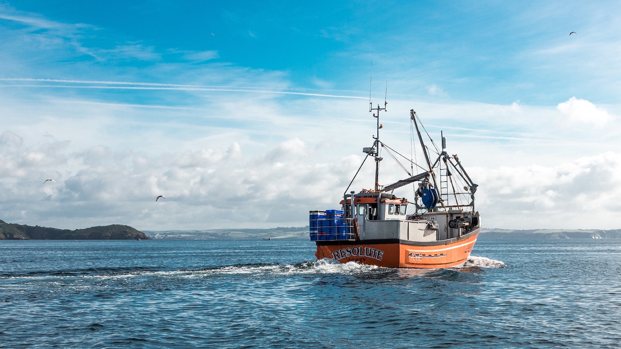Read more about the article New joint venture establishes comprehensive seafood supply