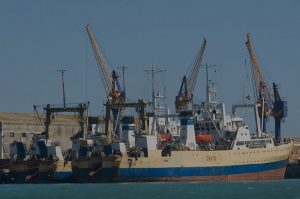 Trawlers docked in South Africa - @ Fiskerforum