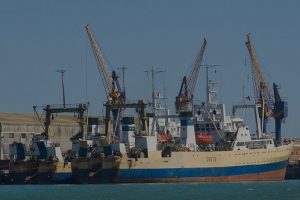 Trawlers docked in South Africa - @ Fiskerforum