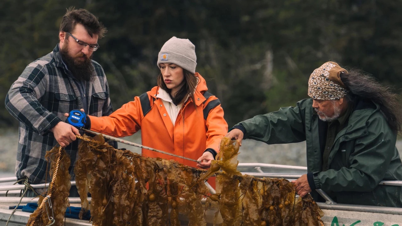 Read more about the article Bluefront Equity secures strategic investment