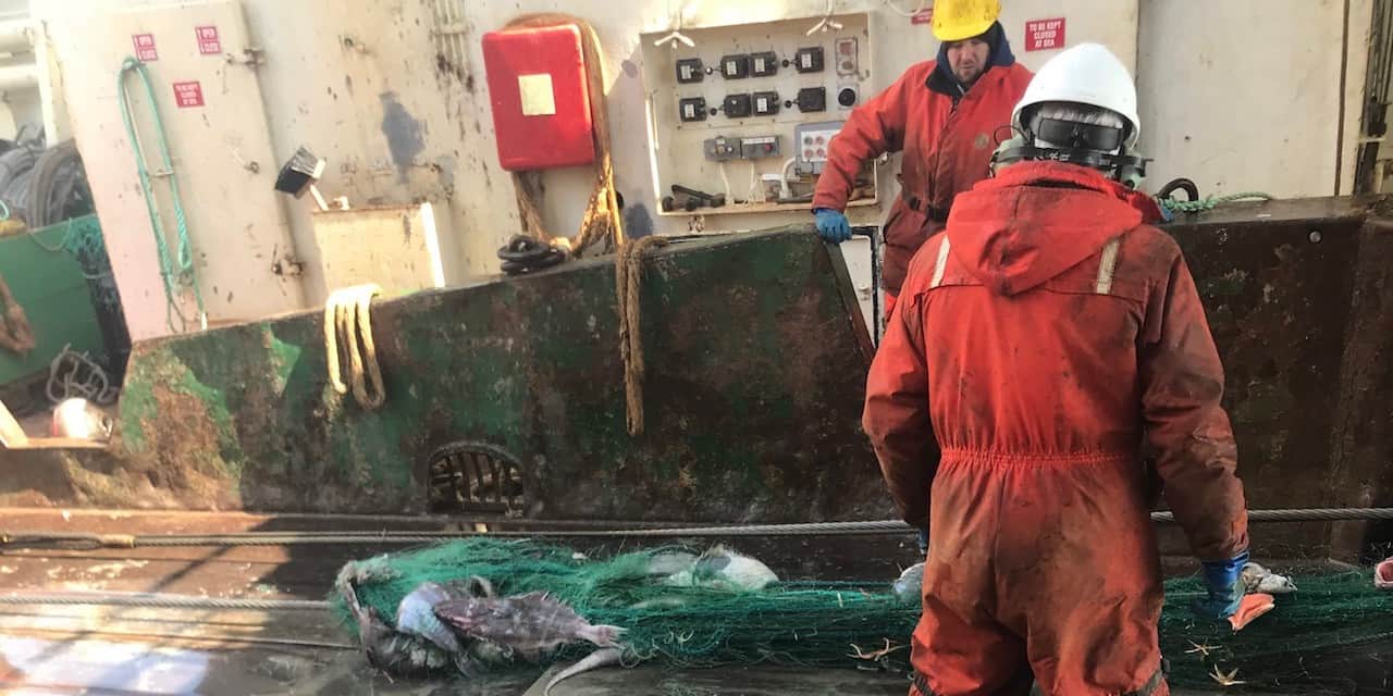 Read more about the article Canada’s offshore harvesters help reduce ghost fishing