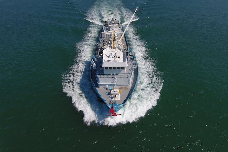 Read more about the article Auditors recommend MSC certification for Atlantic menhaden