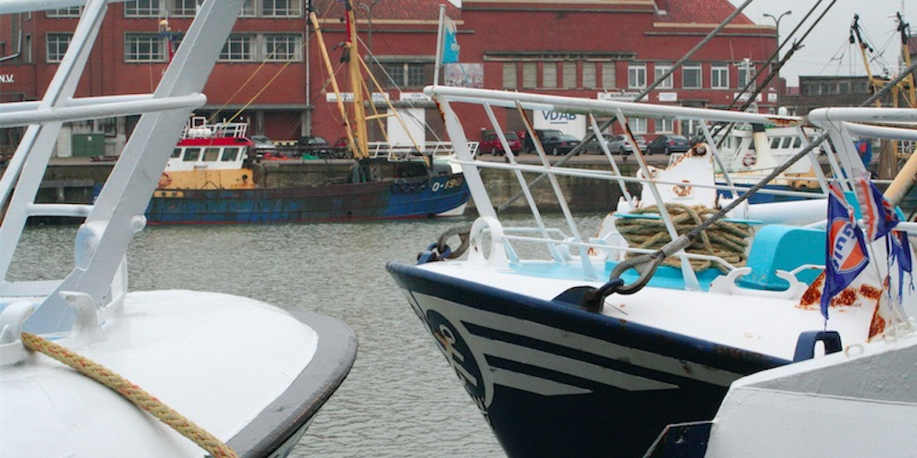 Read more about the article Belgian PO gets a fresh identity