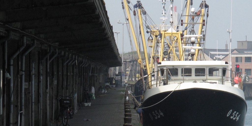 Read more about the article Pressure grows for urgent CFP revision