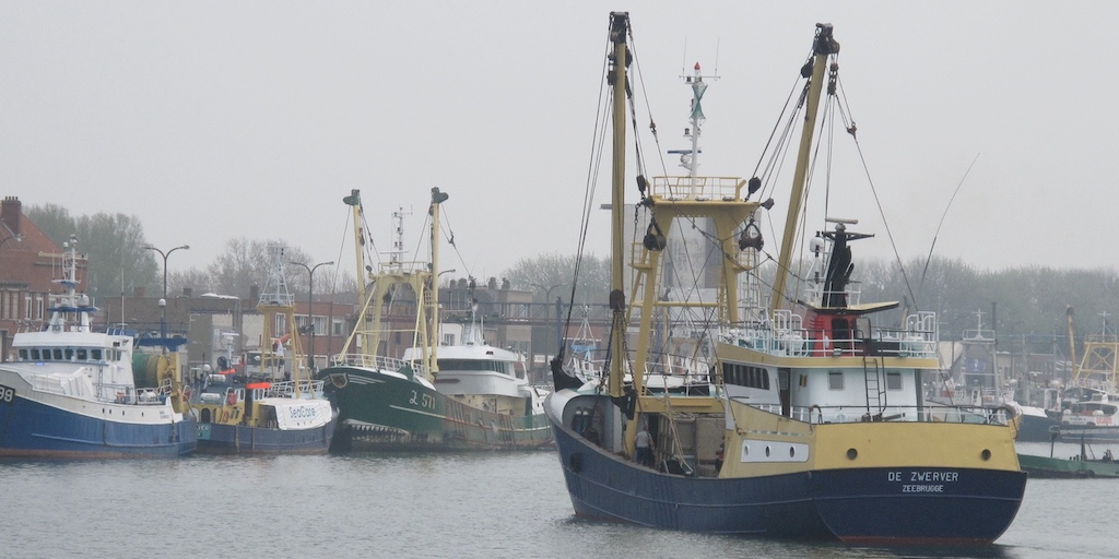 Read more about the article EU fishing fleet bounces back with increased 2025 profits