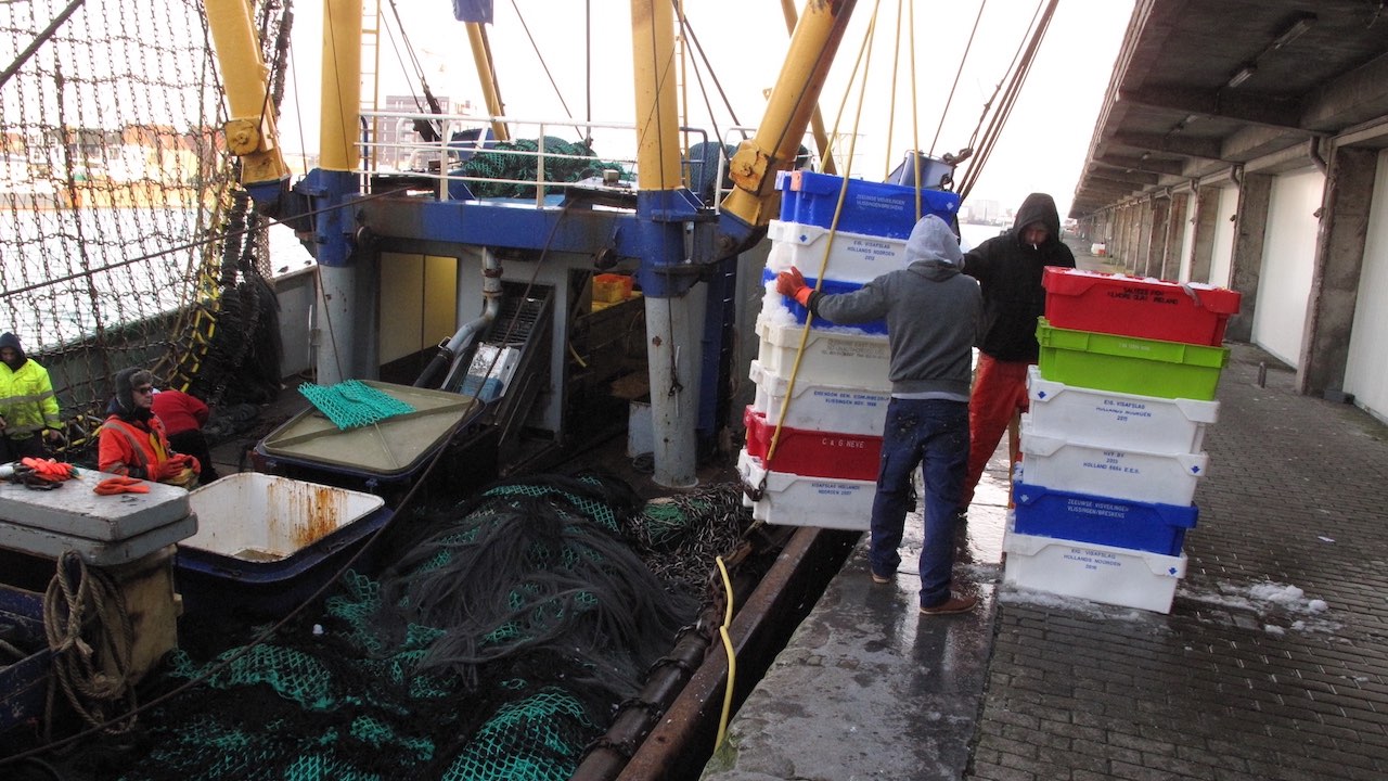 Read more about the article Challenges in implementing landing obligation across EU fisheries