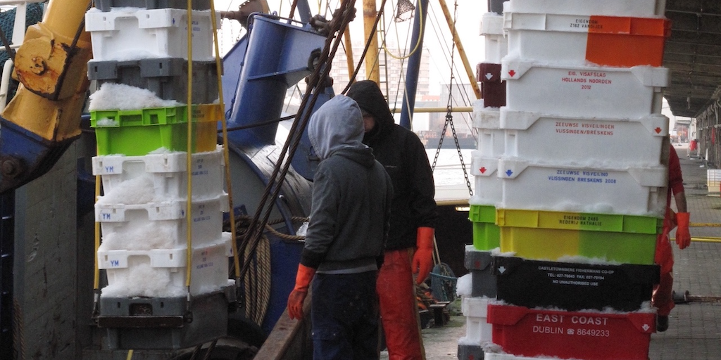 Read more about the article Making the Landing Obligation workable