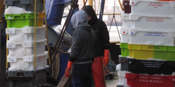 EU fisheries sustainability improves – but challenges remain