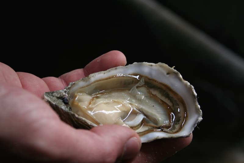Read more about the article Donegal celebrates oyster industry in new exhibition