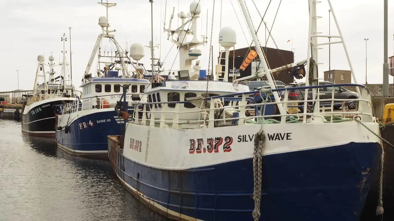 Read more about the article Government boost for Scottish fisheries