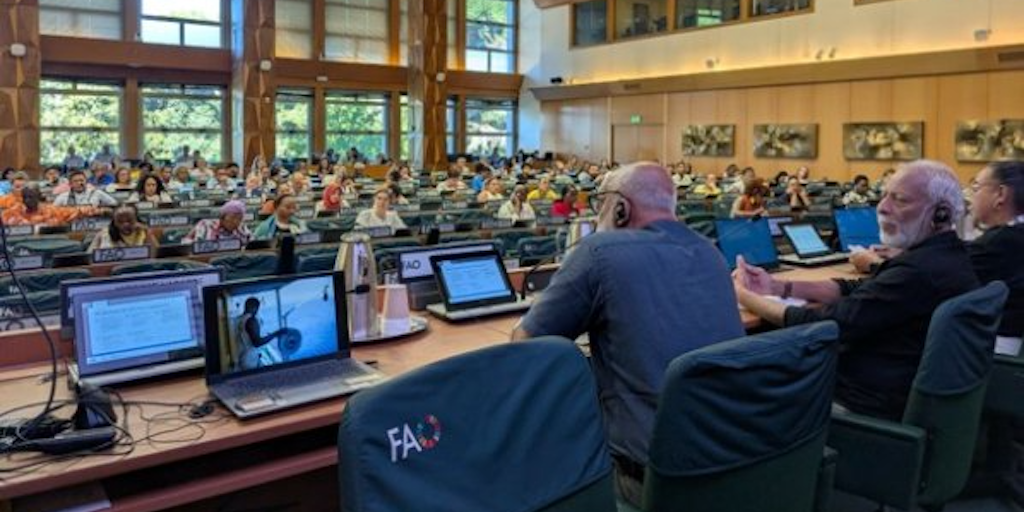 Read more about the article Small-scale fishermen seek clarification of FAO D-G’s remarks