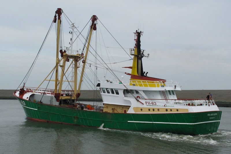 Read more about the article No Deal disastrous for Dutch fishing