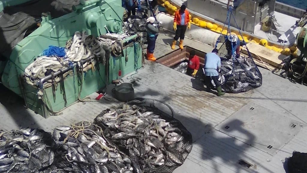 Read more about the article PNG takes bold step in fisheries transparency