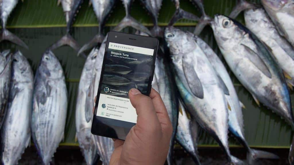 Read more about the article Pacifical passes traceability test
