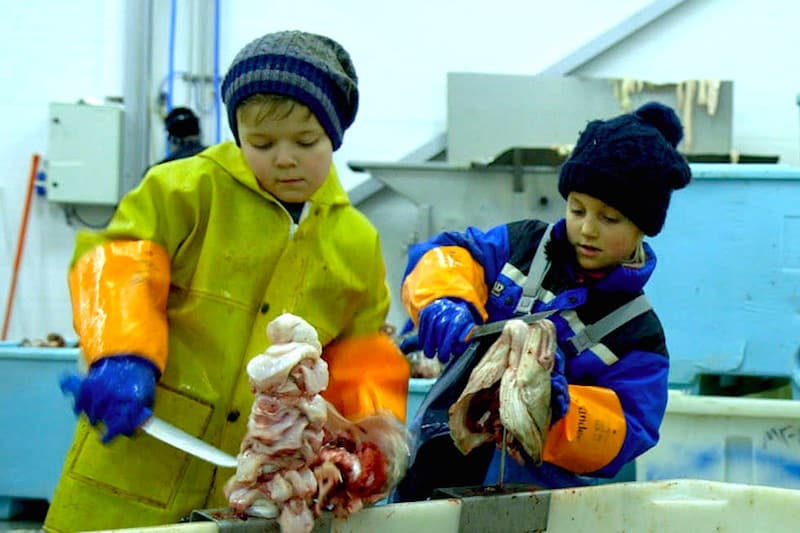 Read more about the article 10th international fishing film festival