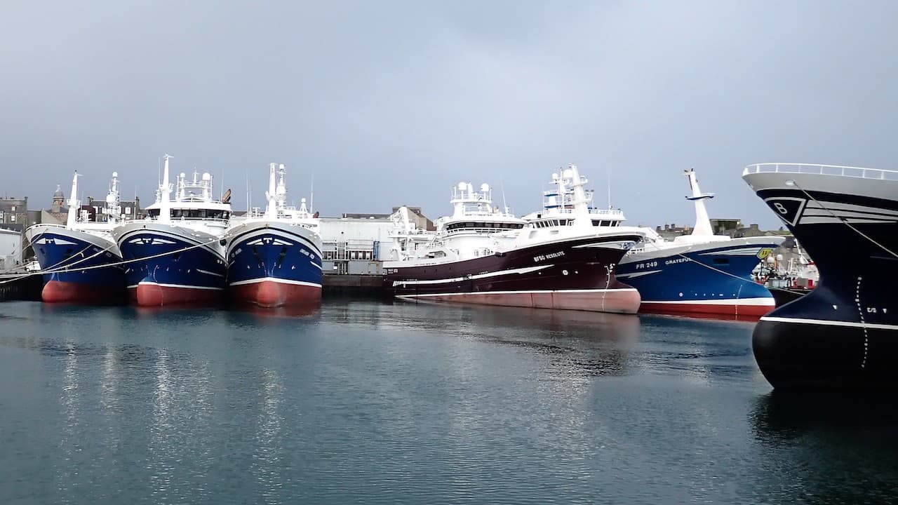 Scottish fleet’s mackerel season ends on a high note FiskerForum