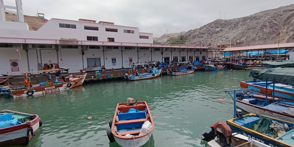 Read more about the article Investment to protect against El Niño’s effects