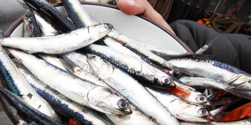 Read more about the article Looming El Niño remains a concern