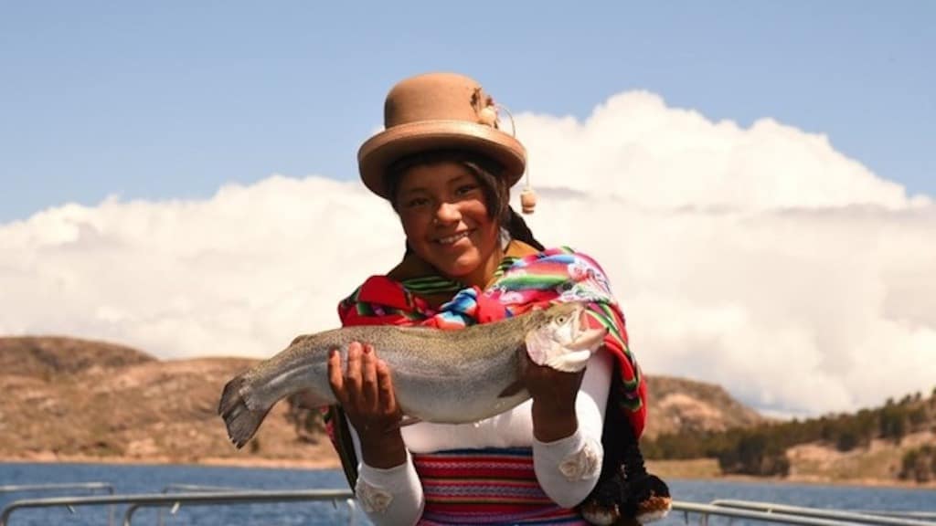 Read more about the article Trout from high in the Andes