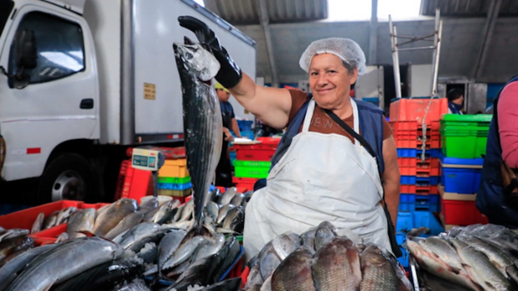 Read more about the article Peru devours fish during holy week