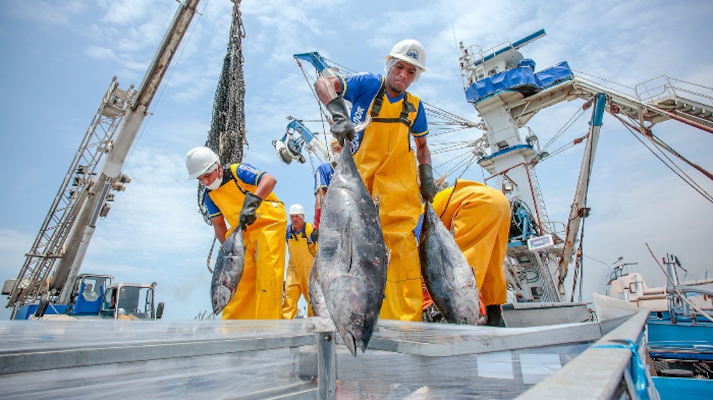 Read more about the article Peru approves 2040 fisheries roadmap