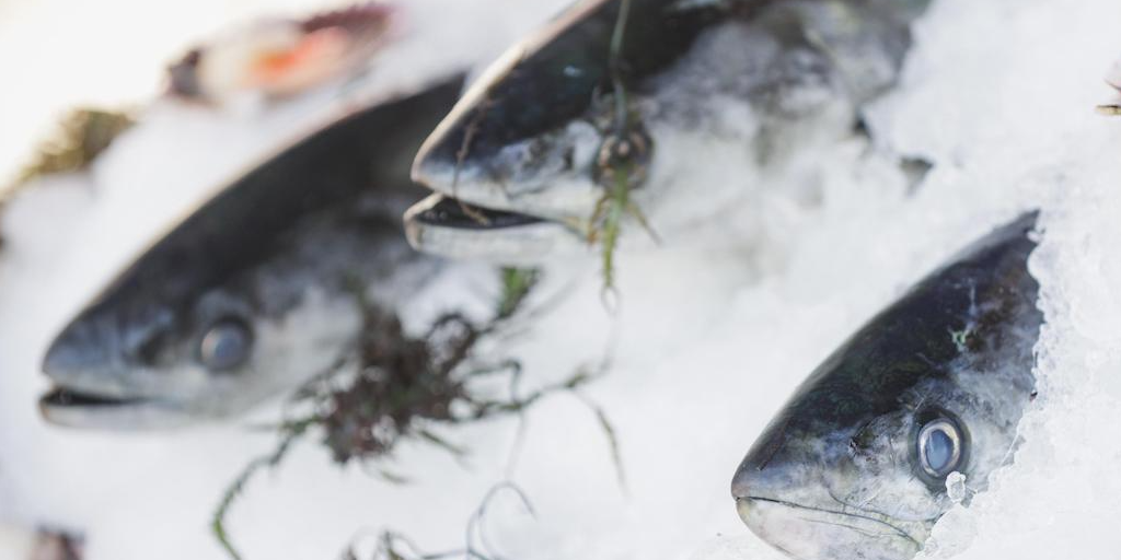 Read more about the article Campaign boosts seafood consumption
