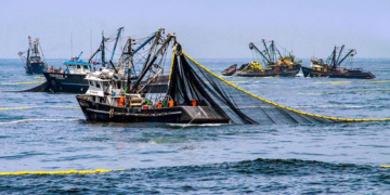 Real-time monitoring and preventive closures applied to anchovy fishery