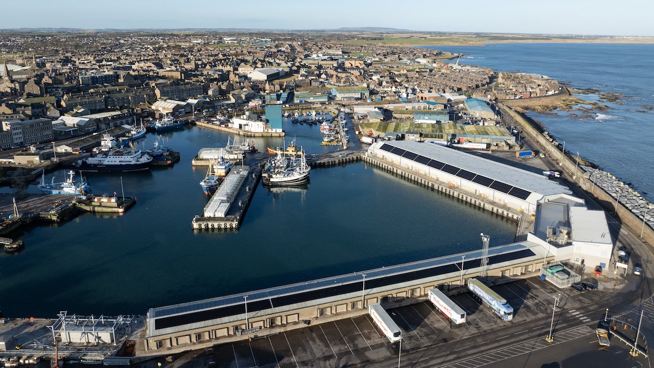 Read more about the article Peterhead landings hit new record
