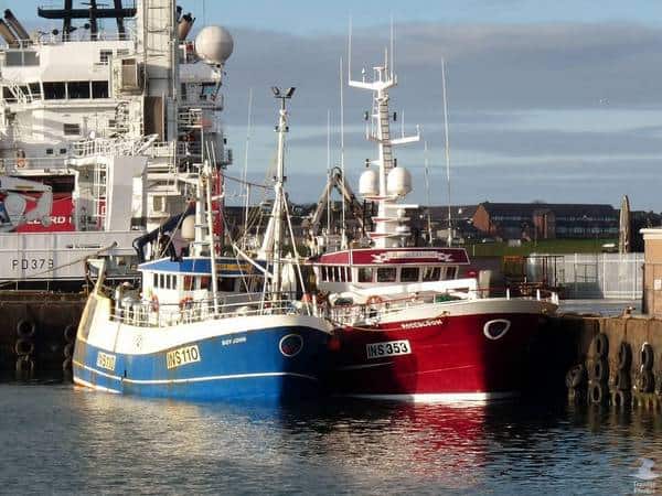 Read more about the article Fish Prices and Landings for Scotland