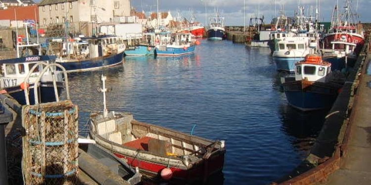 Pittenweem Harbour