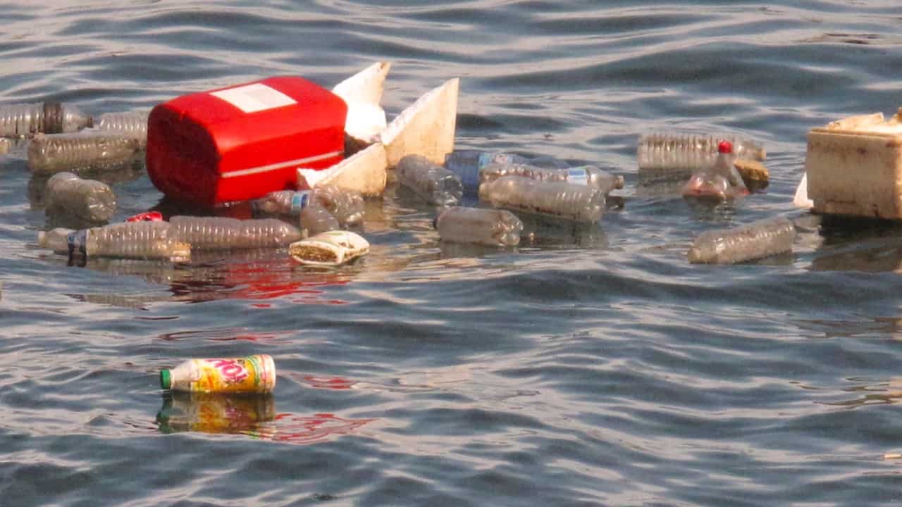 Read more about the article Scotland tackling marine litter
