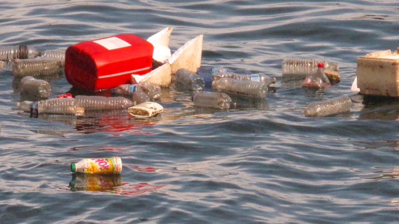 Read more about the article Taking a stand on plastic pollution