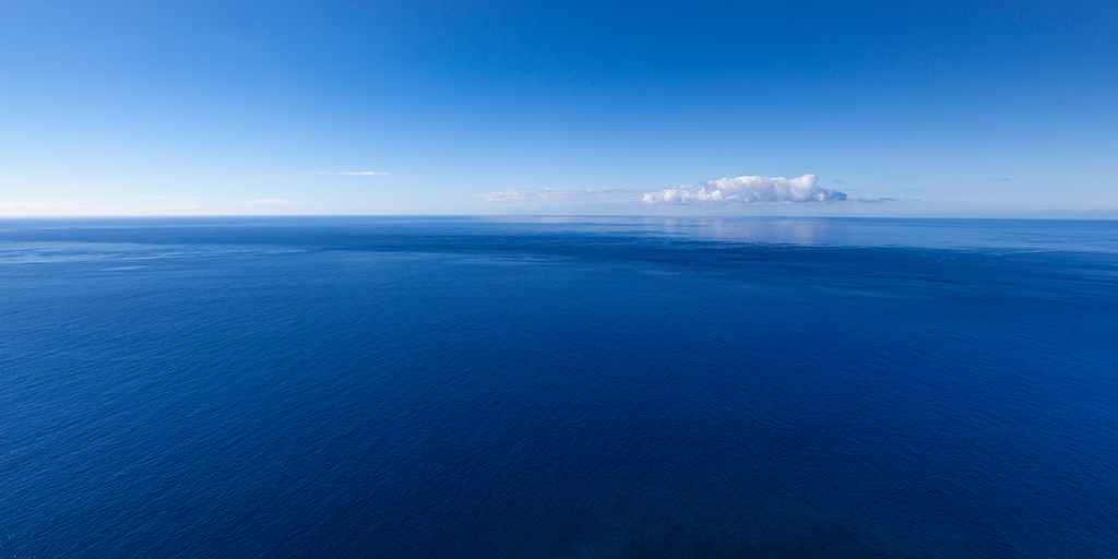 Read more about the article Stark warning on ocean health