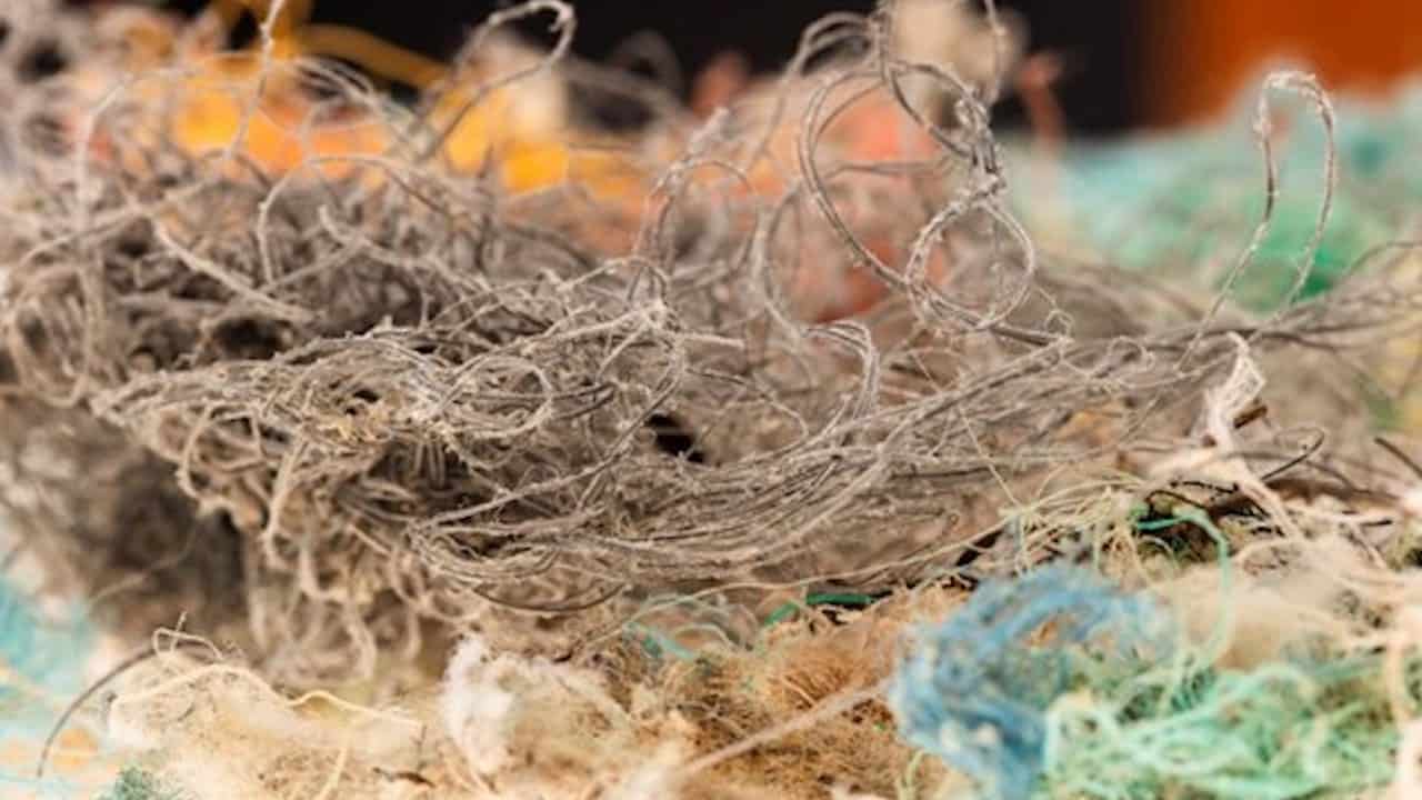 Read more about the article Maritime rope could be adding billions of microplastics to oceans