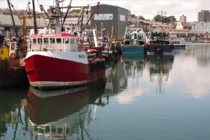 Plymouth took part in one of the four pilot harbour audits - @ Fiskerforum