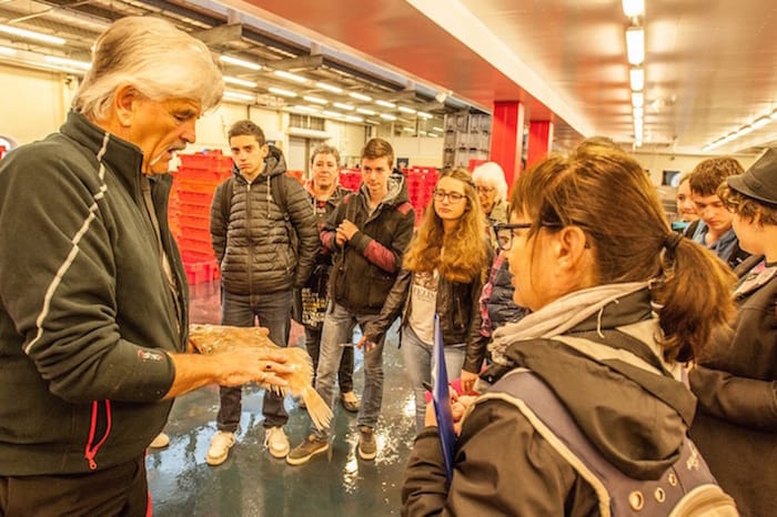 Read more about the article French students tour Plymouth Fisheries