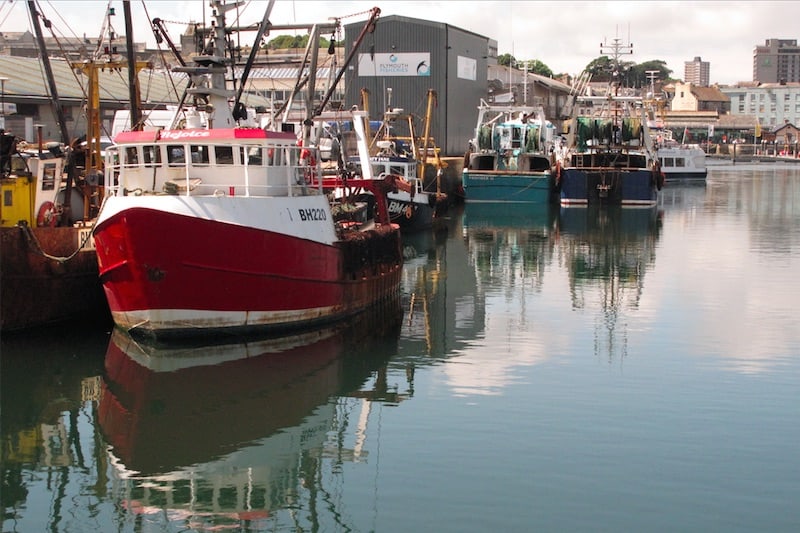 Read more about the article Industry asked for feedback on Responsible Fishing Ports Scheme