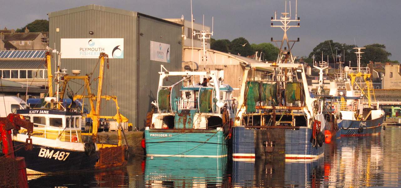 Read more about the article Plymouth leads on fishing industry support