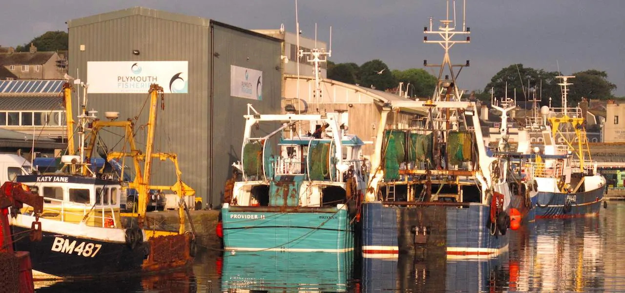 Read more about the article UK consultation on fishing opportunities