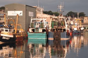 Plymouth Sutton MP Luke Pollard and Great Grimsby MP Melanie Onn have launched Labour Friends of Fishing - @ Fiskerforum