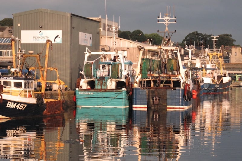 Read more about the article Making Labour the party of fishing