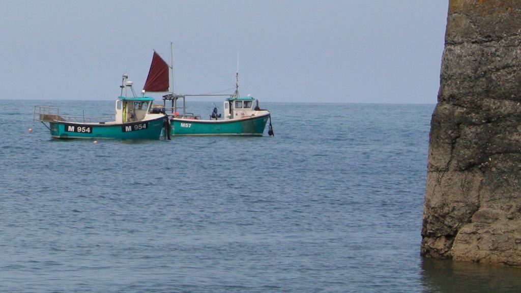 Read more about the article MMO pledges continued support in I-VMS rollout