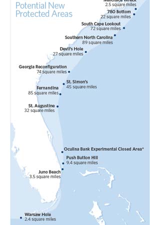 Read more about the article Fishery managers considering locations for marine protected areas along Southeast coast U.S.