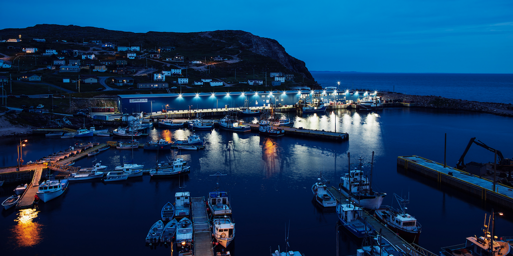 Read more about the article Quinlan Brothers select Wisefish technology