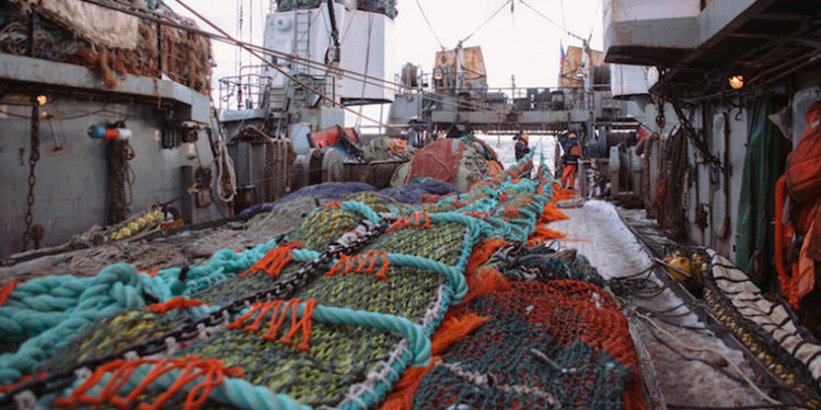 The Russian pollock fishery has been re-certified by the MSC. Image: RFC - @ Fiskerforum